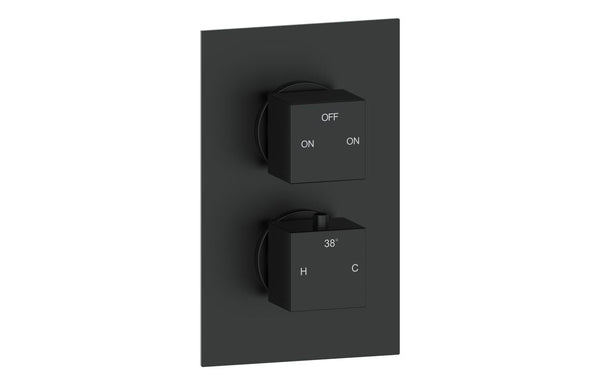 Nebula Thermostatic Two Outlet Twin Shower Valve - Matt Black